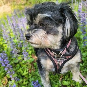 Meet your Posher, Reka